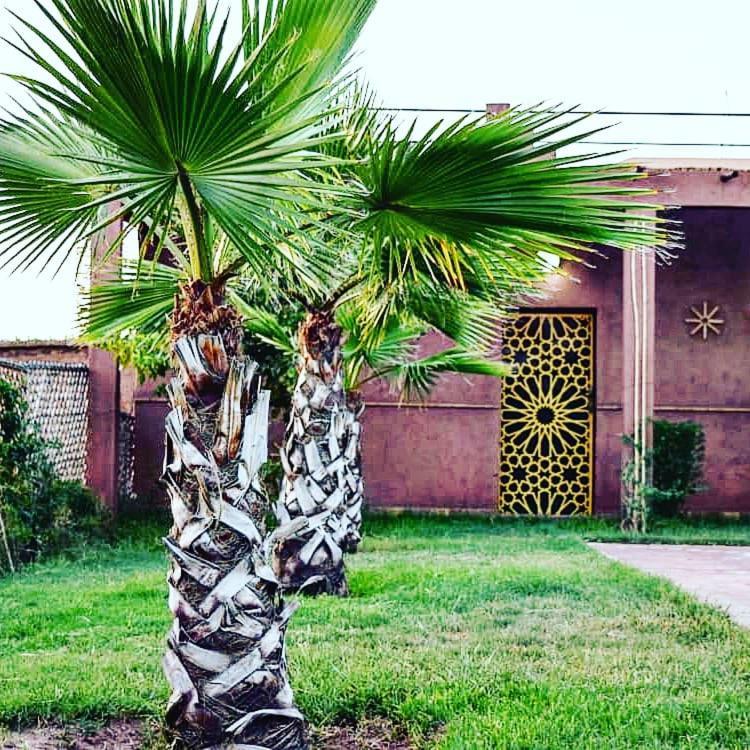 Riad Darga Rouge Ouled Bouzid Ngoại thất bức ảnh